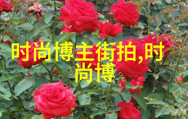 梅花运动服我是不是也可以穿得像个运动小天使