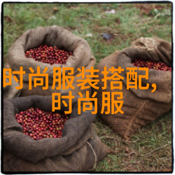 剪发艺术与技巧深入浅出美发教学全解析