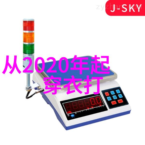 数字的谜团穿越1.61的秘密世界