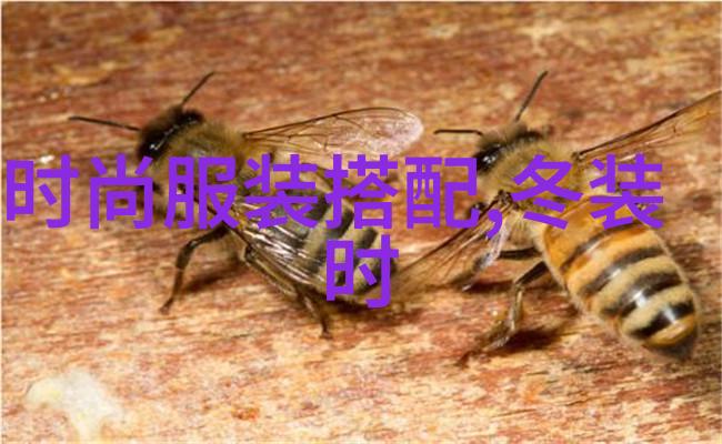 一生一世美人骨圆房缘起缘落的第九章