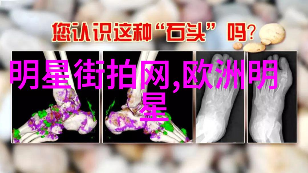 轻奢纂华探索现代生活中的高雅简约