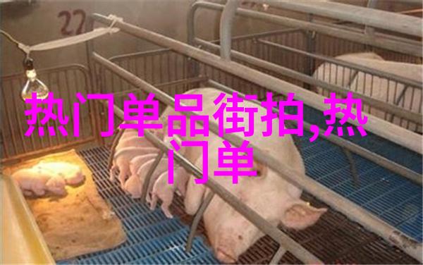 男生衣物颜色搭配艺术打造个性时尚风格