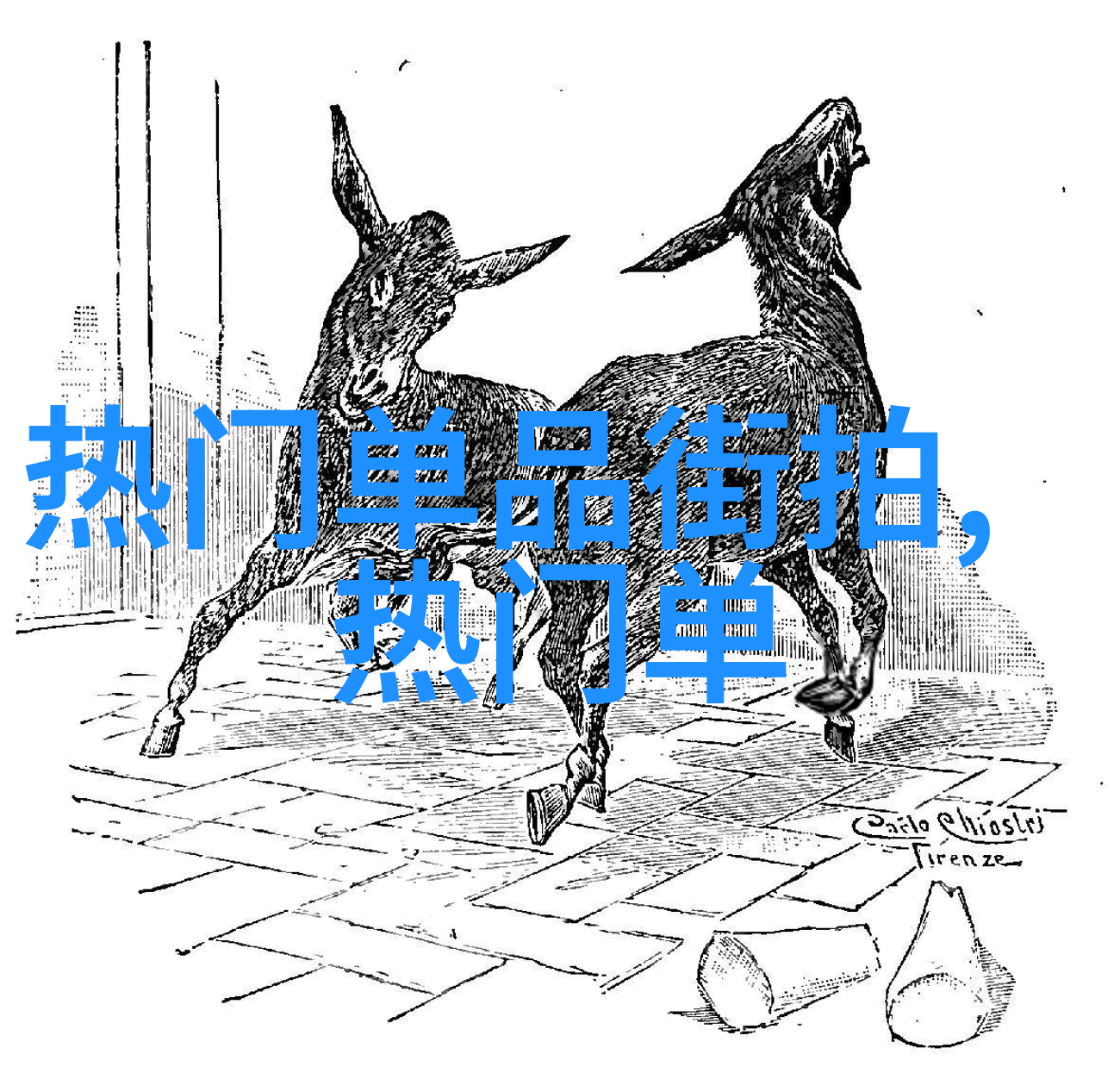 对着摄像头自己玩给我看我在家里如何变身成小主播