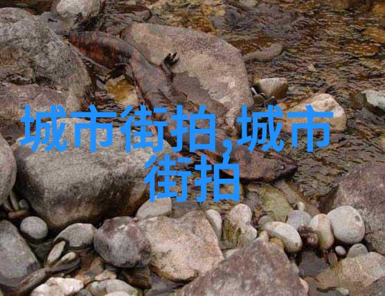 30岁显气质的短发-简约魅力如何用短发展现三十岁的气质