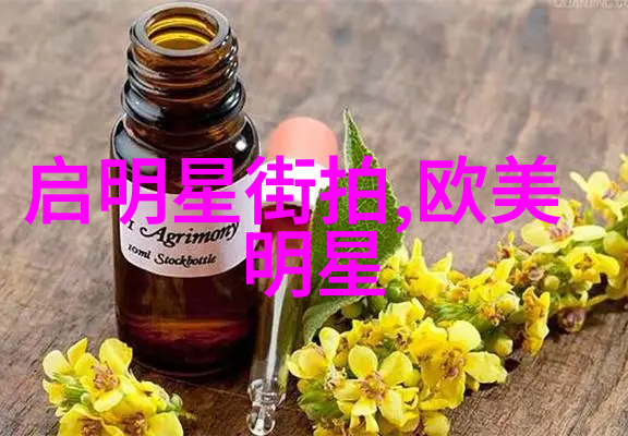 李连杰的背景故事一位功夫巨星的成长之路