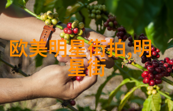夏日男孩风格热情的橙黄与清新的蓝绿