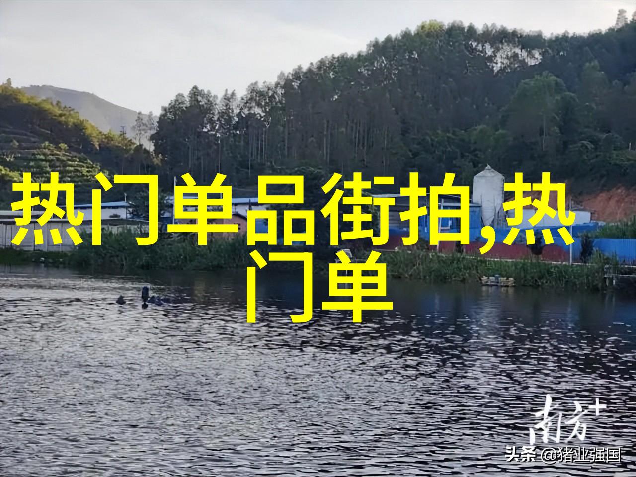 超现实主义探究通过艺术展开关于真和美的对话