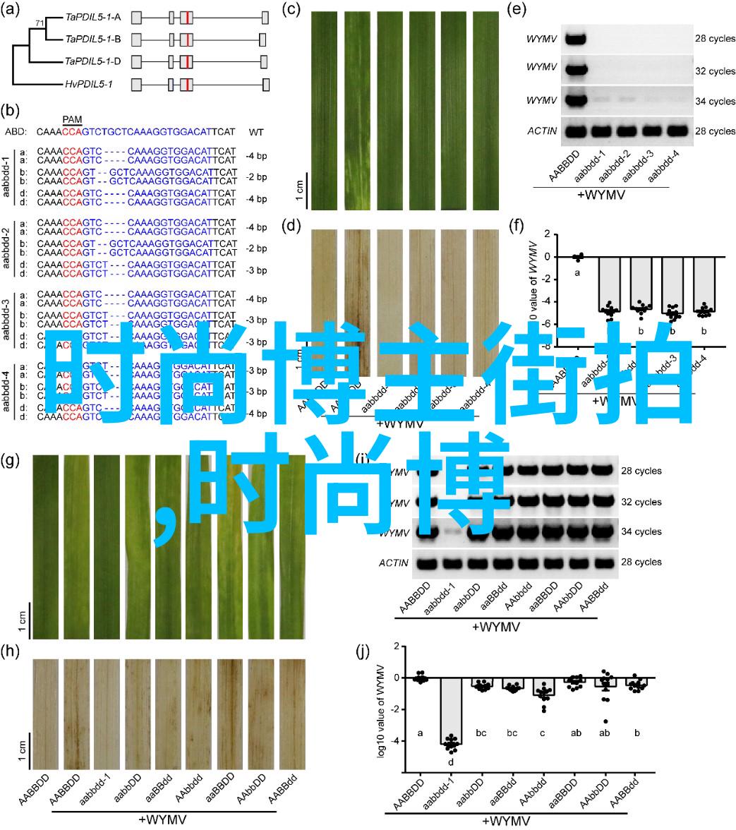 穿越时空的男士西裤揭秘那些穿上它的人们的未知命运