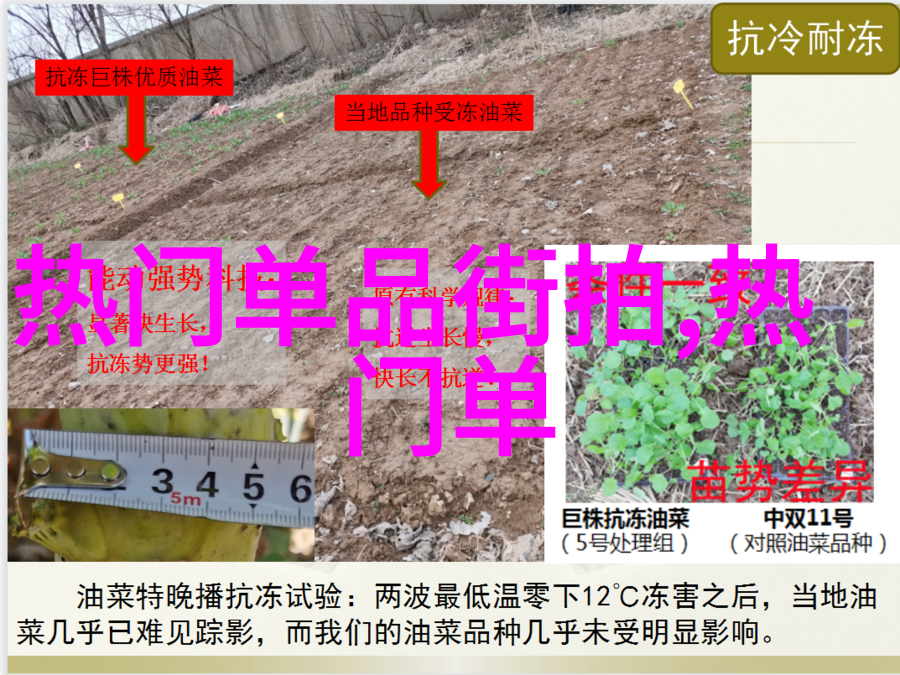男士小西装-春日和风中的时尚挑战