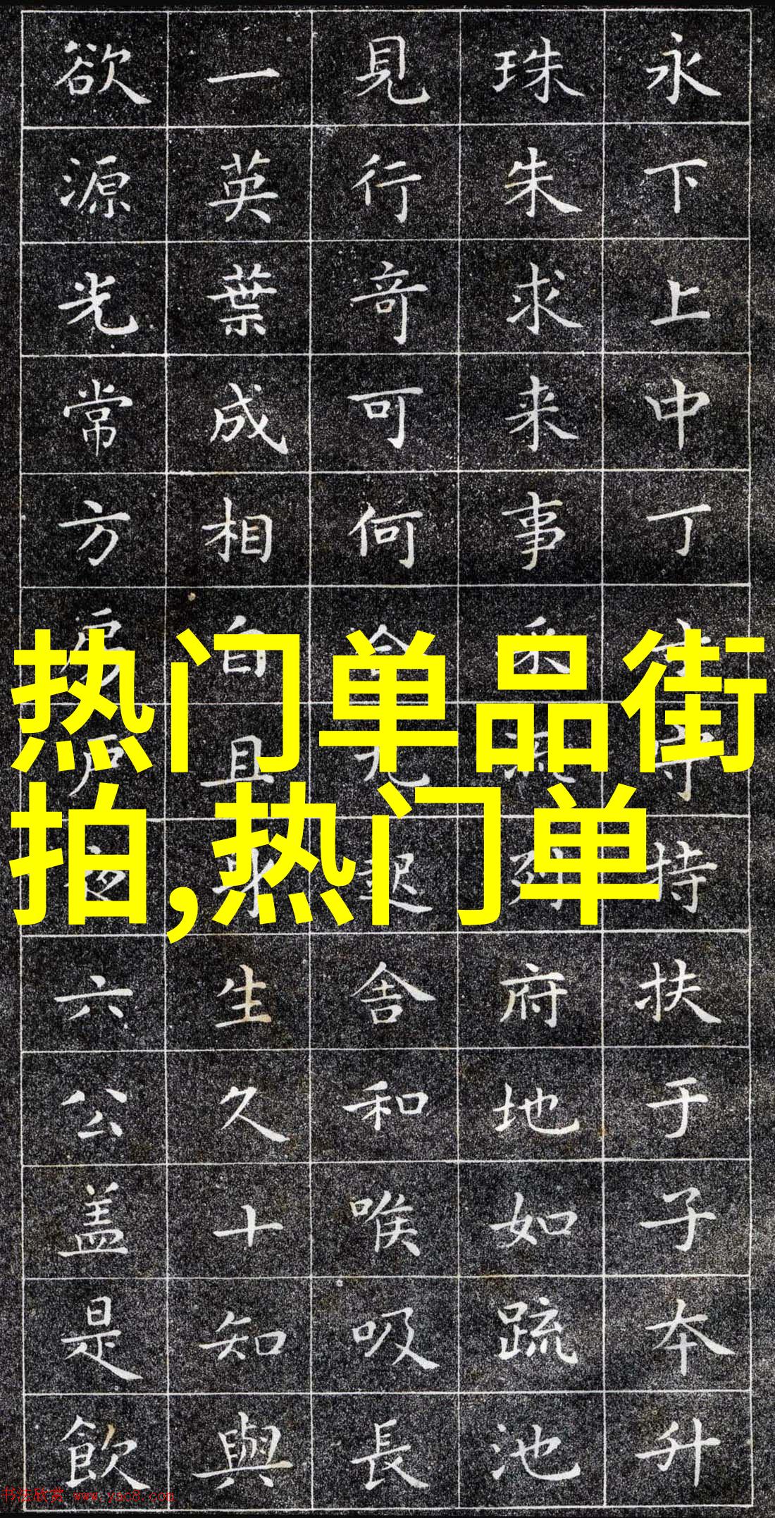 主题我和202的故事从数字到生活的点滴记忆