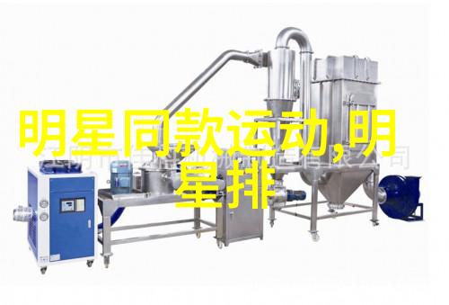 Chic Cam用户案例分析成功故事背后的策略和技巧