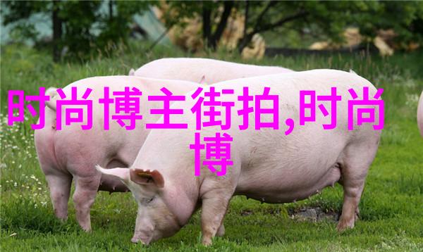 型男高中校园中的时尚先锋