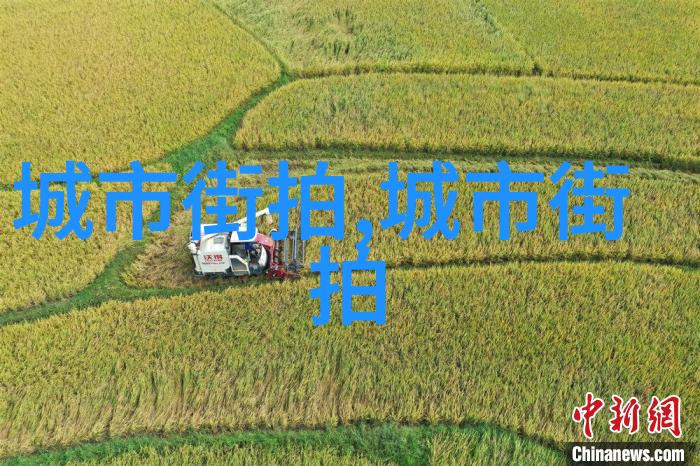 48届金马奖影坛盛事的荣耀与挑战