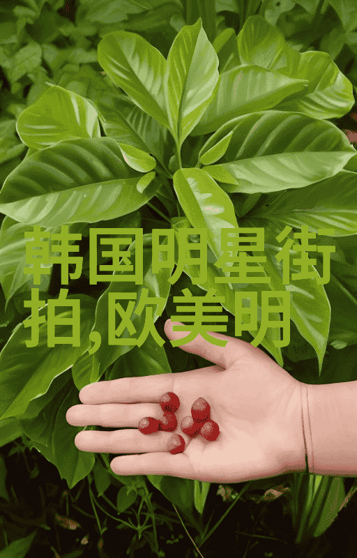 理发店装修风格探秘从现代简约到时尚复古多样化选择