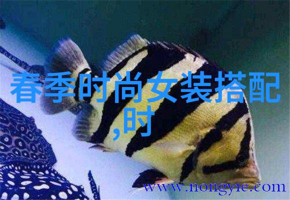两本书的奇妙冒险从图书馆逃离到知识王国