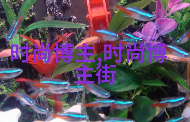 编发如何营造出淡定优雅的气质