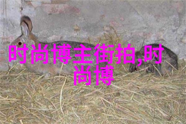 贝克汉姆发型我是如何在家就能学会的