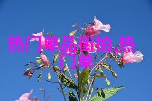2021年最新时尚简约减龄短发女孩的魅力