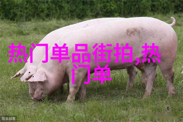 韩版男装时尚指南如何打造现代男子的独特风格
