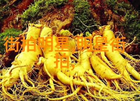 不知火舞公园狂欢热血少女的野性派对