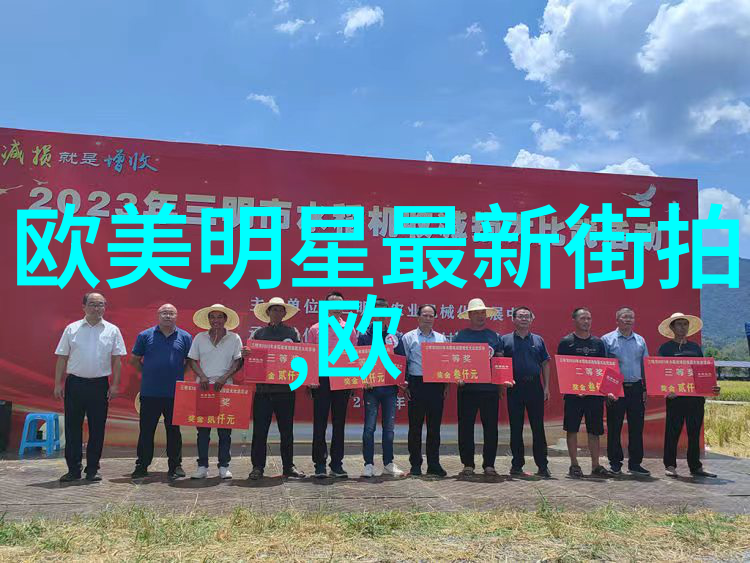 白发之谜岁月的印记与遗传的秘密