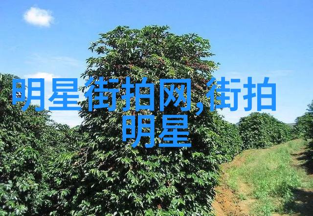 秋日时尚指南潮男必备的季节装扮秘诀