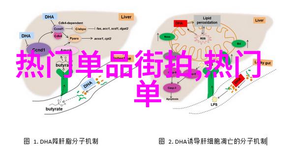 时尚衣帽间纵横穿梭的时尚梦想空间