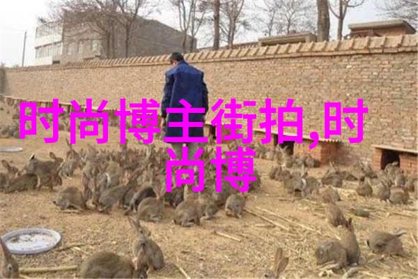 50岁男士短发我这半头光滑的秘密从中长到短发的故事
