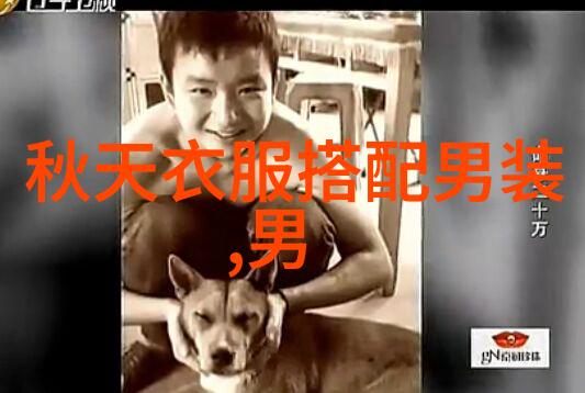 节奏与力量电子舞曲在2008年的崛起