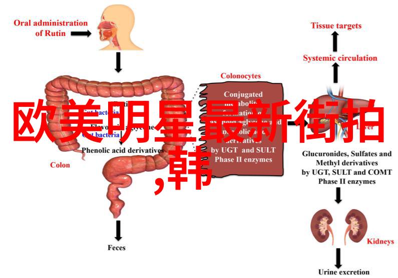 数字的秘密语言解读424背后的文化象征意义
