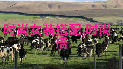 美发初学者基础教程-从零到精通美发初学者的必备指南