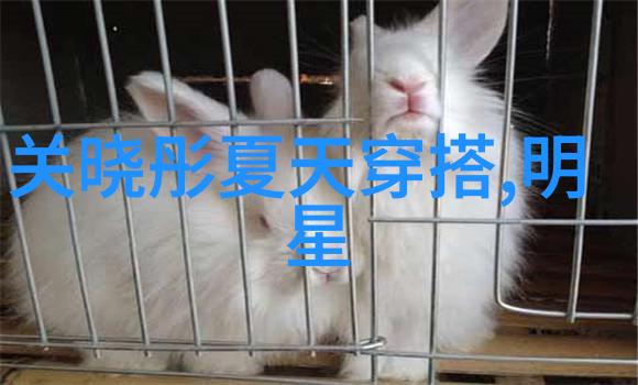 夏季男士时尚搭配大赛哪种风格更适合你的个性