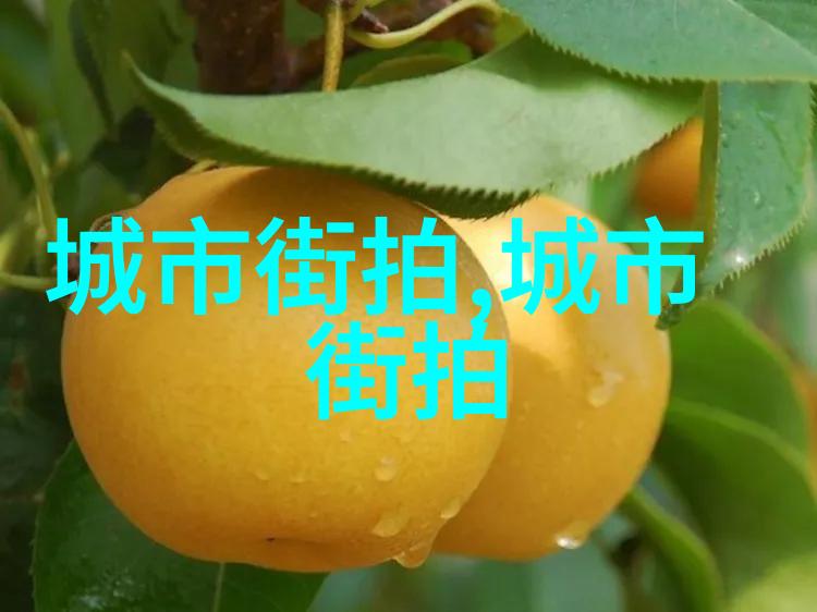 矛盾与和谐的双重奏鸣解析小矛盾在日常生活中的作用与意义