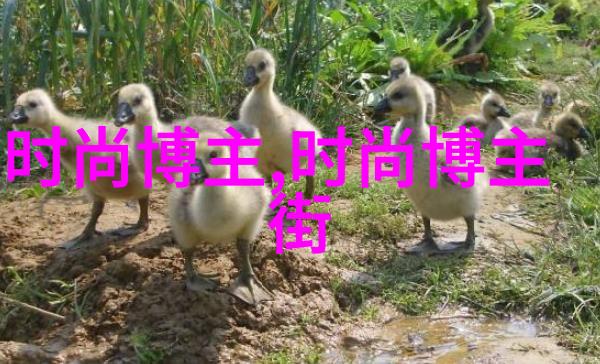 福利一区二区福利刺激微拍-探秘高潮迭起的微拍福利世界