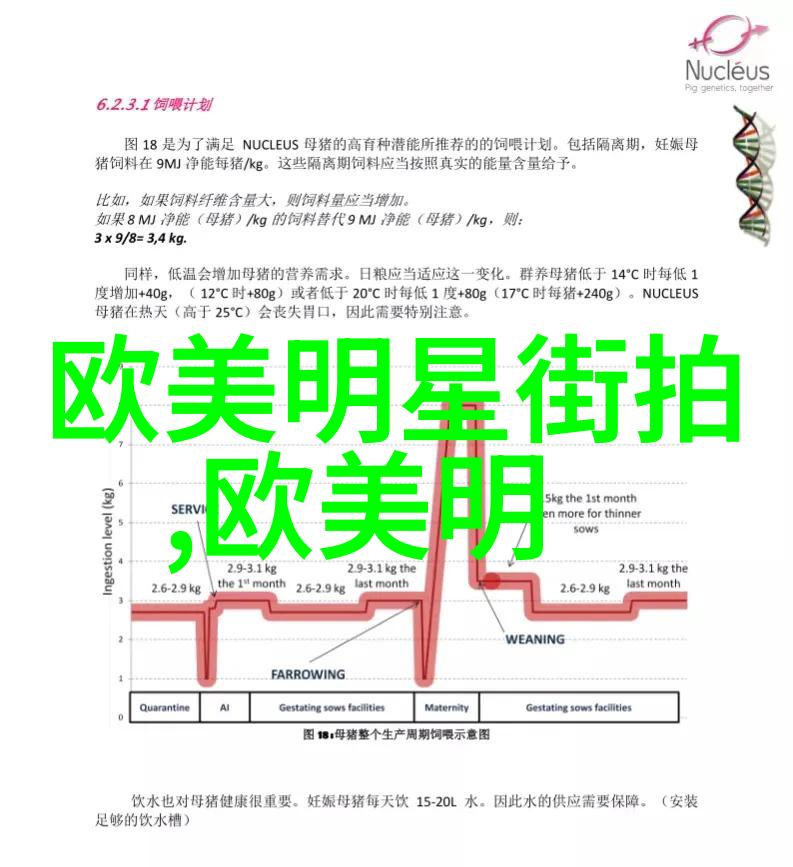 主题我是如何用chic cam变身时尚达人的小秘密