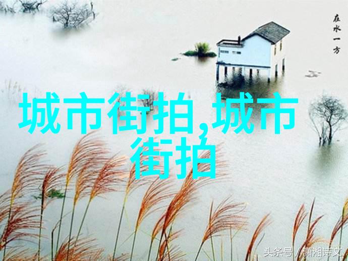 日常自己简单扎头发我是这样一只小猪每天早上做的简单几招