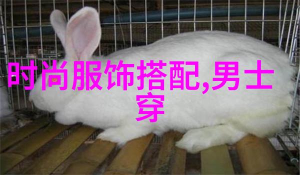 皮草我的冬日暖心者