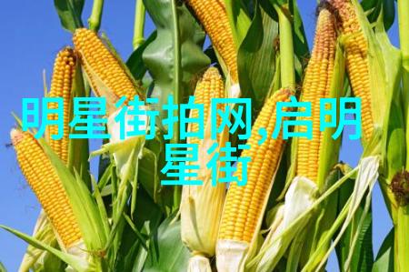 给老妈理发视频教程-家居美容小技巧一学就会的简单头发剪法