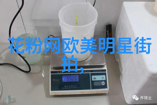 明星同款图片大全看看这些超实用的