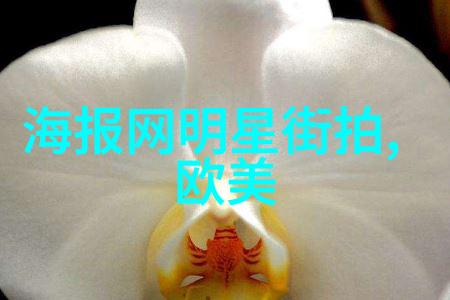 他的礼物小说免费阅读浪漫爱情故事无限流