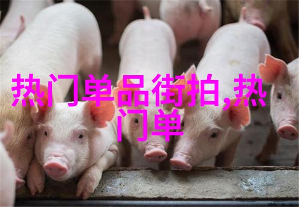短发女孩时尚形象2023年最新女生短发图片集合
