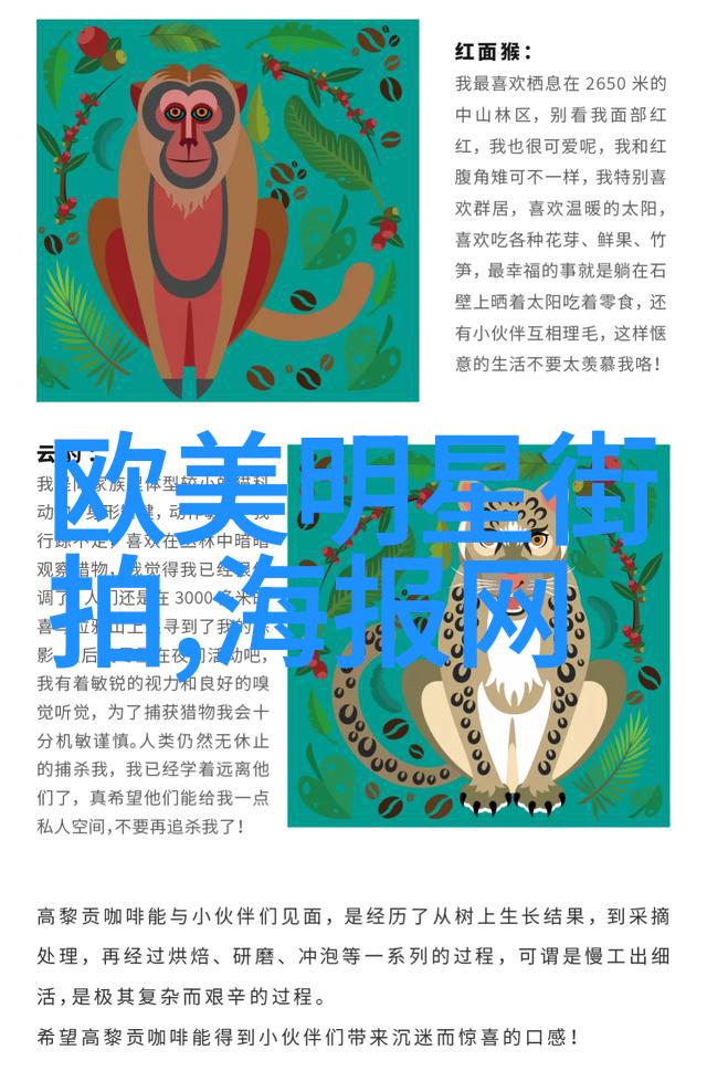 主题-音韵密码揭秘26个英文字母的音标奥秘