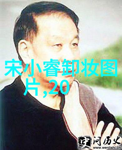 元宵晚会从星光到爆笑2021年的欢乐盛宴