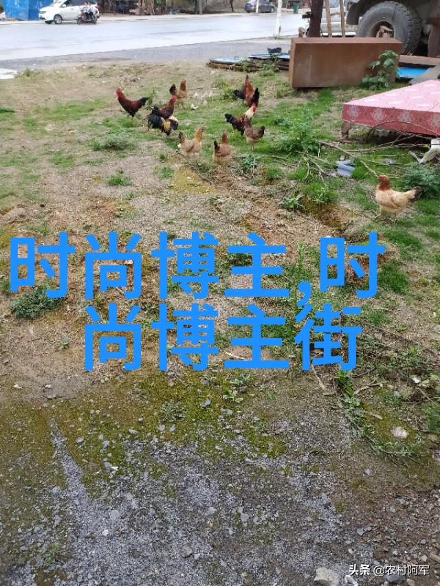 木质支撑下的舒适体验椅子背后的人文故事