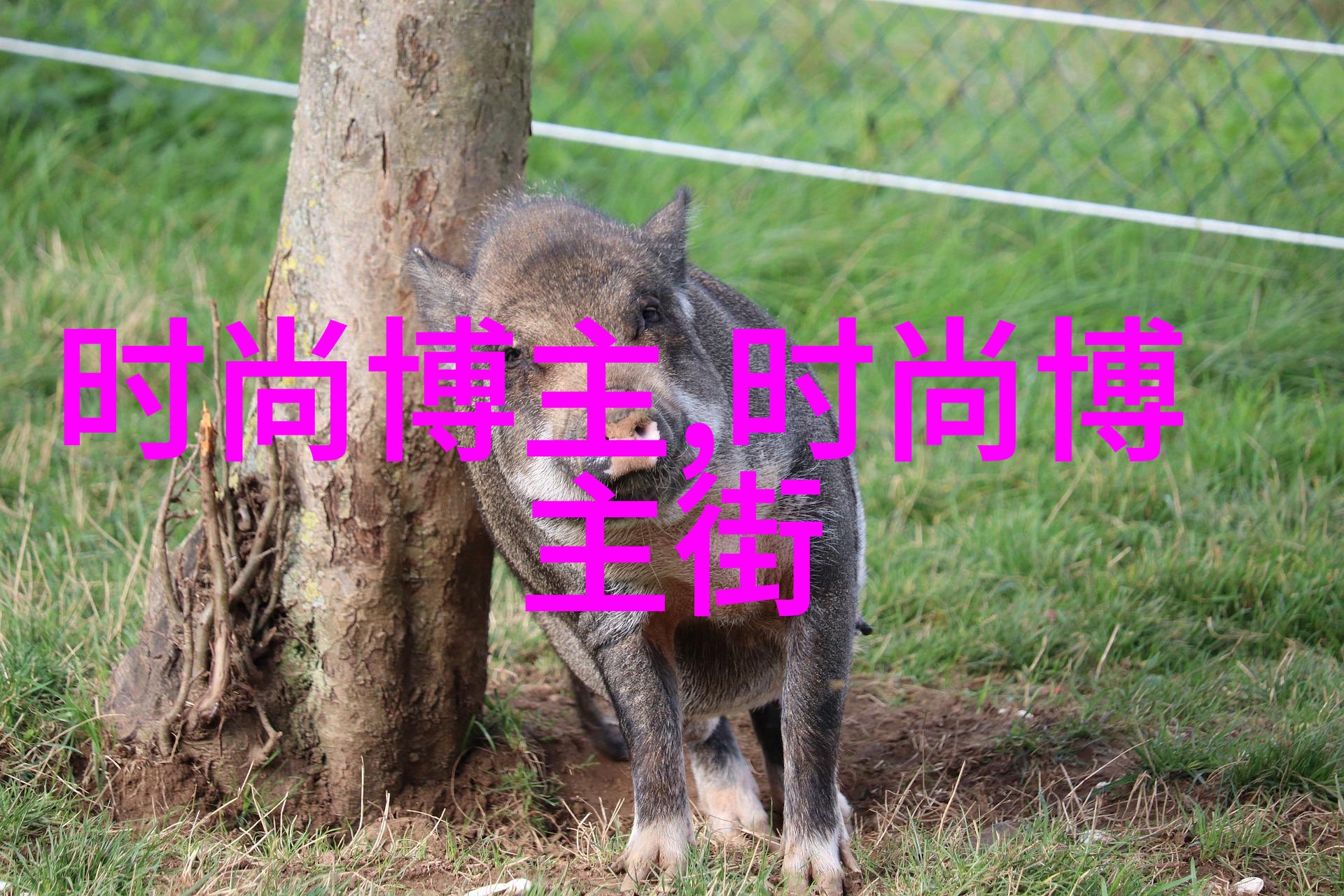 手工吊坠我自己做的那些小心思