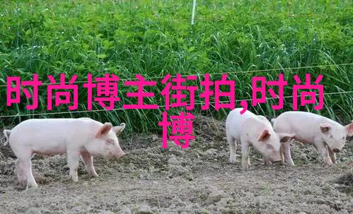 杭州回收-绿色杭州资源循环利用新主张