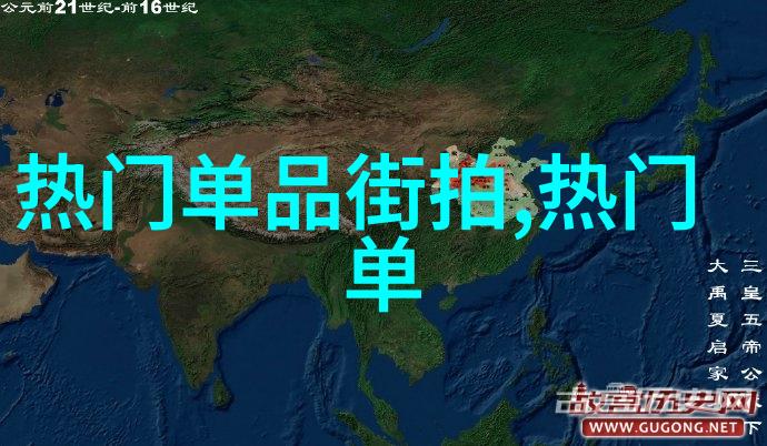 张雨绮2003伦敦时装周风范再现火鸡装直击街拍国际感