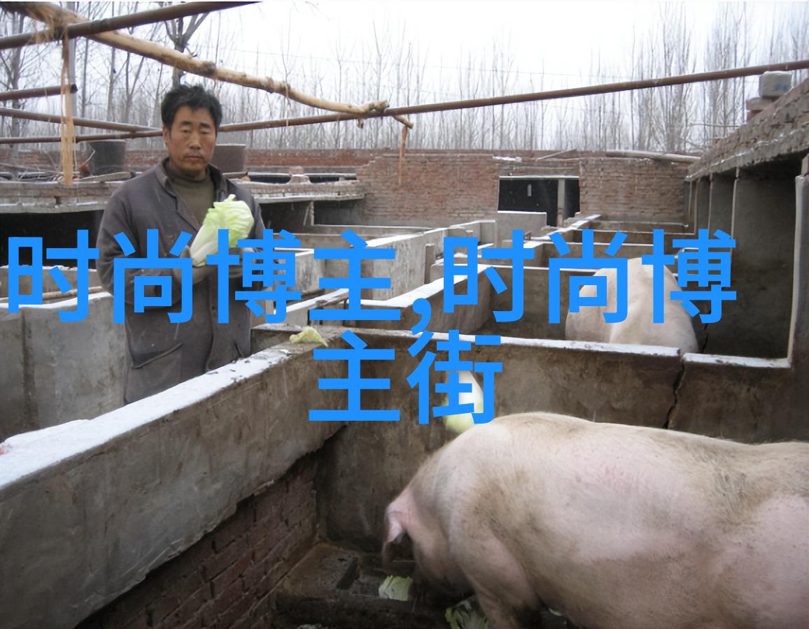 初学者如何快速上手自编头发一份详细步骤指南