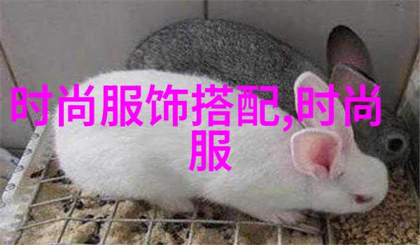 时尚生活-双肩包女背影里的时尚与自由