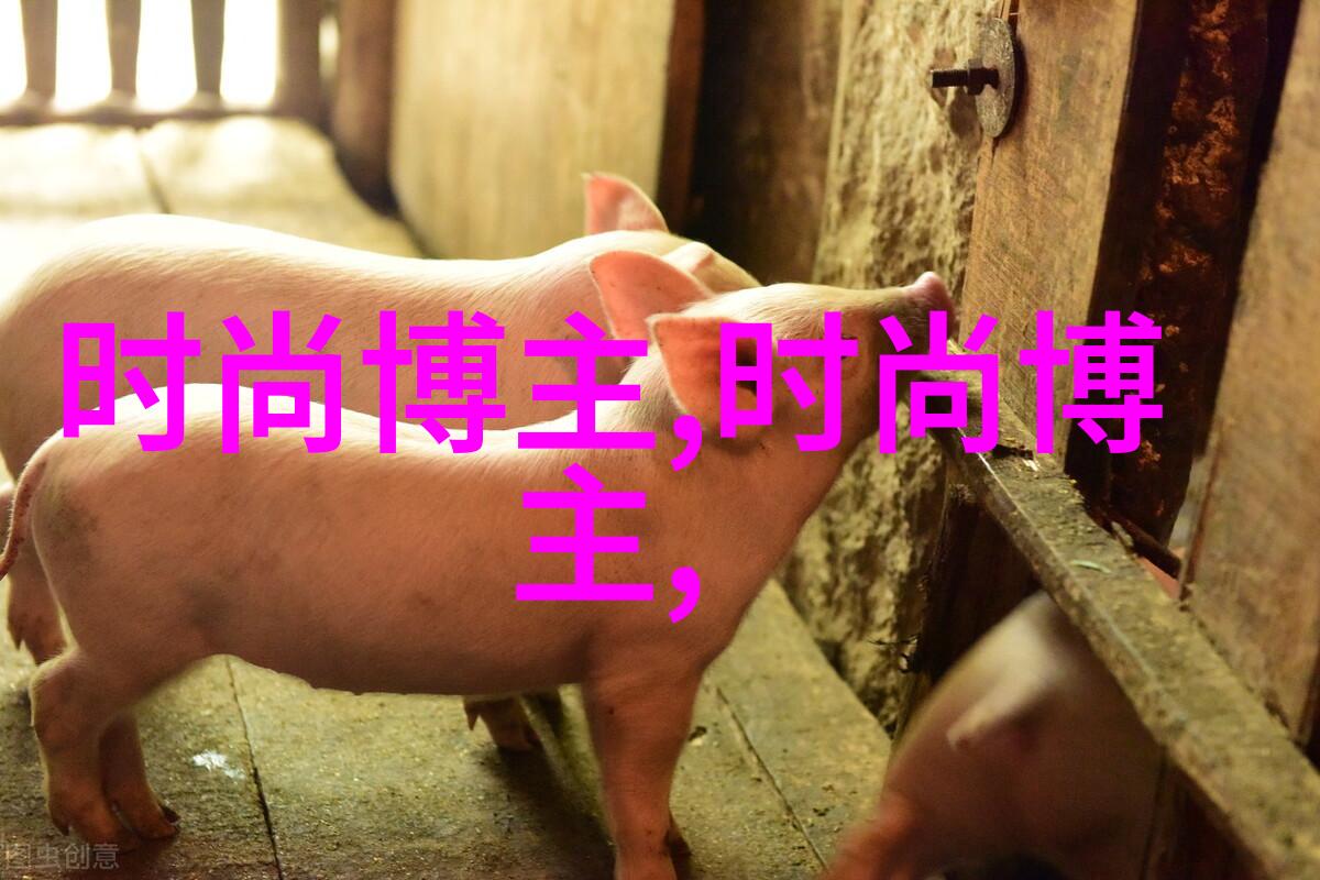 深度开发1v3阅读我是如何从零到英雄的1对3阅读法的奇迹